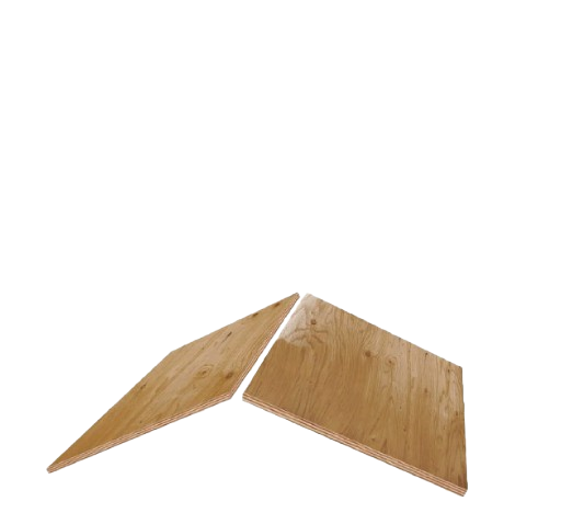 Modern Instinct Construction Images