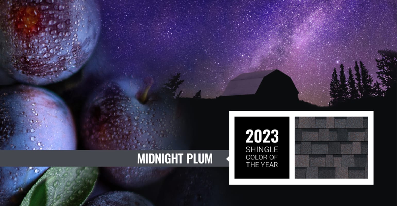 Modern Instinct Construction Images